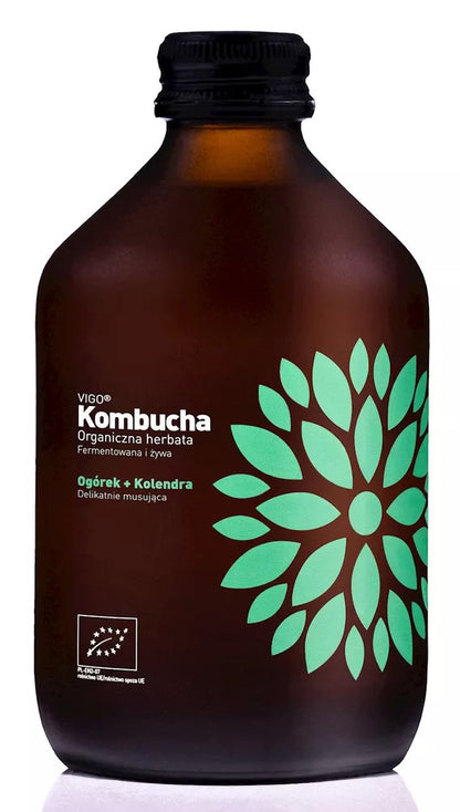 VIGO Kombucha Imbir + Acerola (330 ml) - BIO