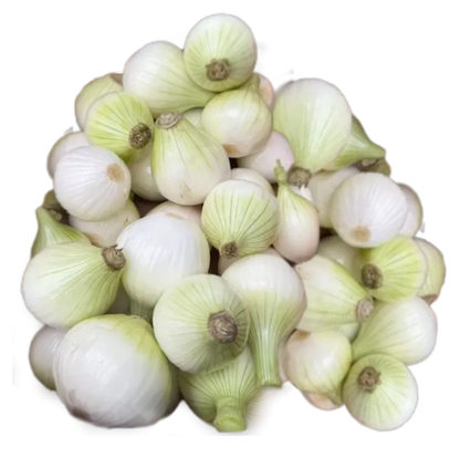 Cebula ekologiczna BIAŁA (CUKROWA) 1kg - BIO (PL)