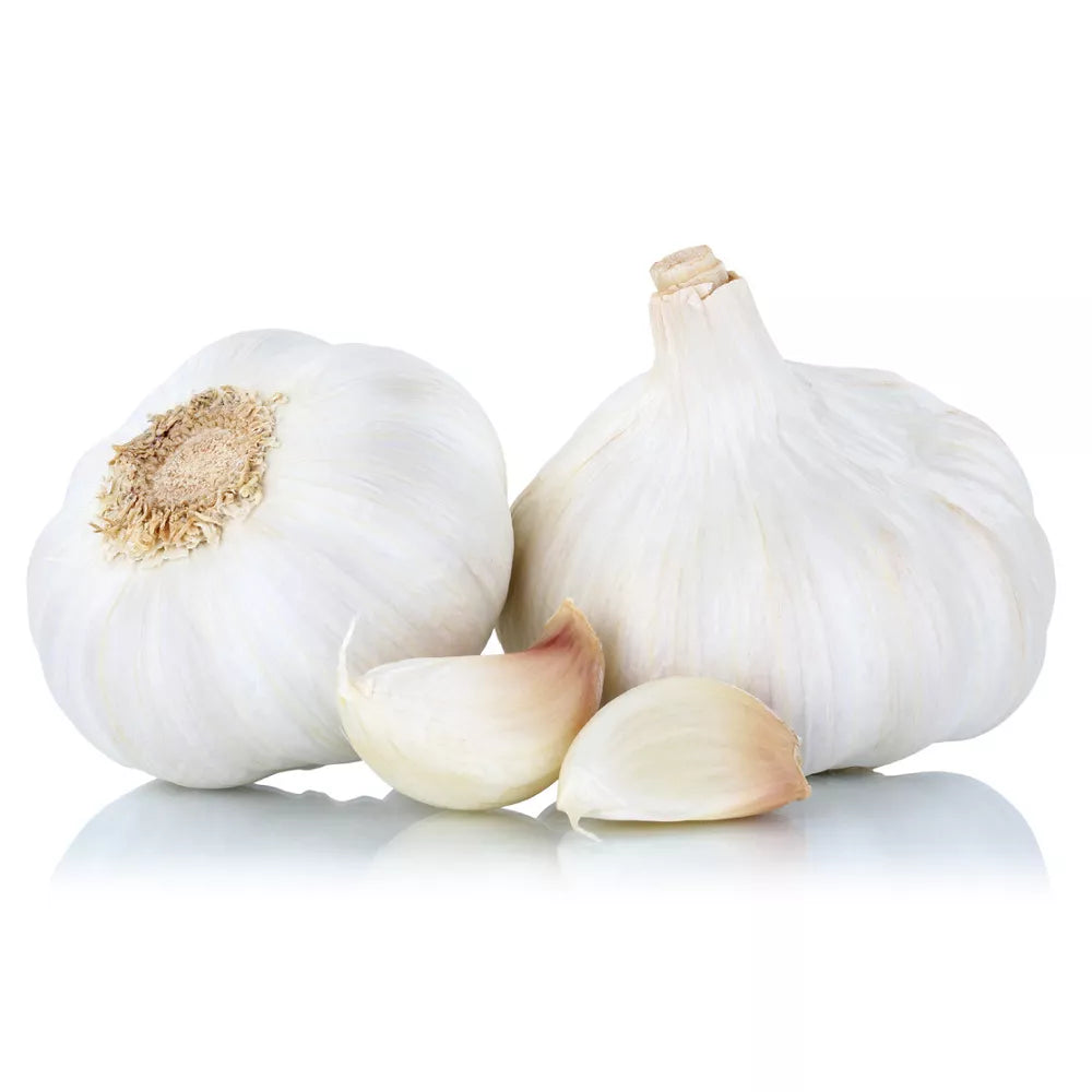 Cebula ekologiczna BIAŁA (CUKROWA) 1kg - BIO (PL)