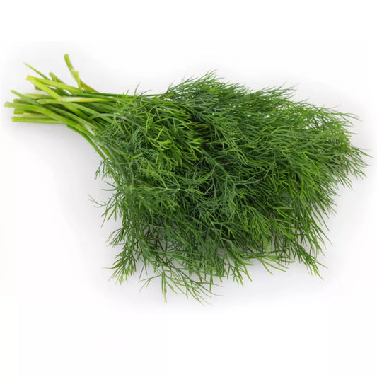 Kolendra ekologiczna w pęczku (1szt.) - BIO (i)