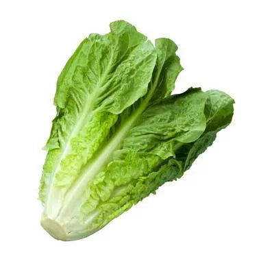 Sałata ekologiczna 1szt. - BIO (I)